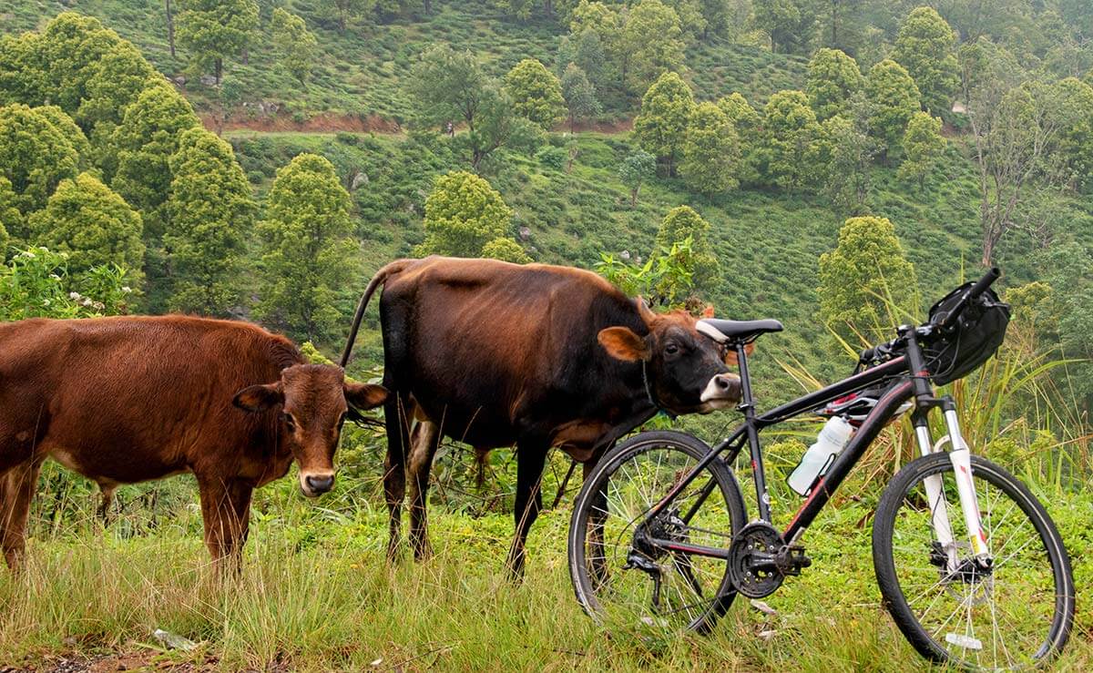 Bike tour in Sri Lanka