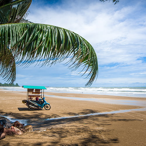 Stand driven by motorbike on sand of beach with palm frond