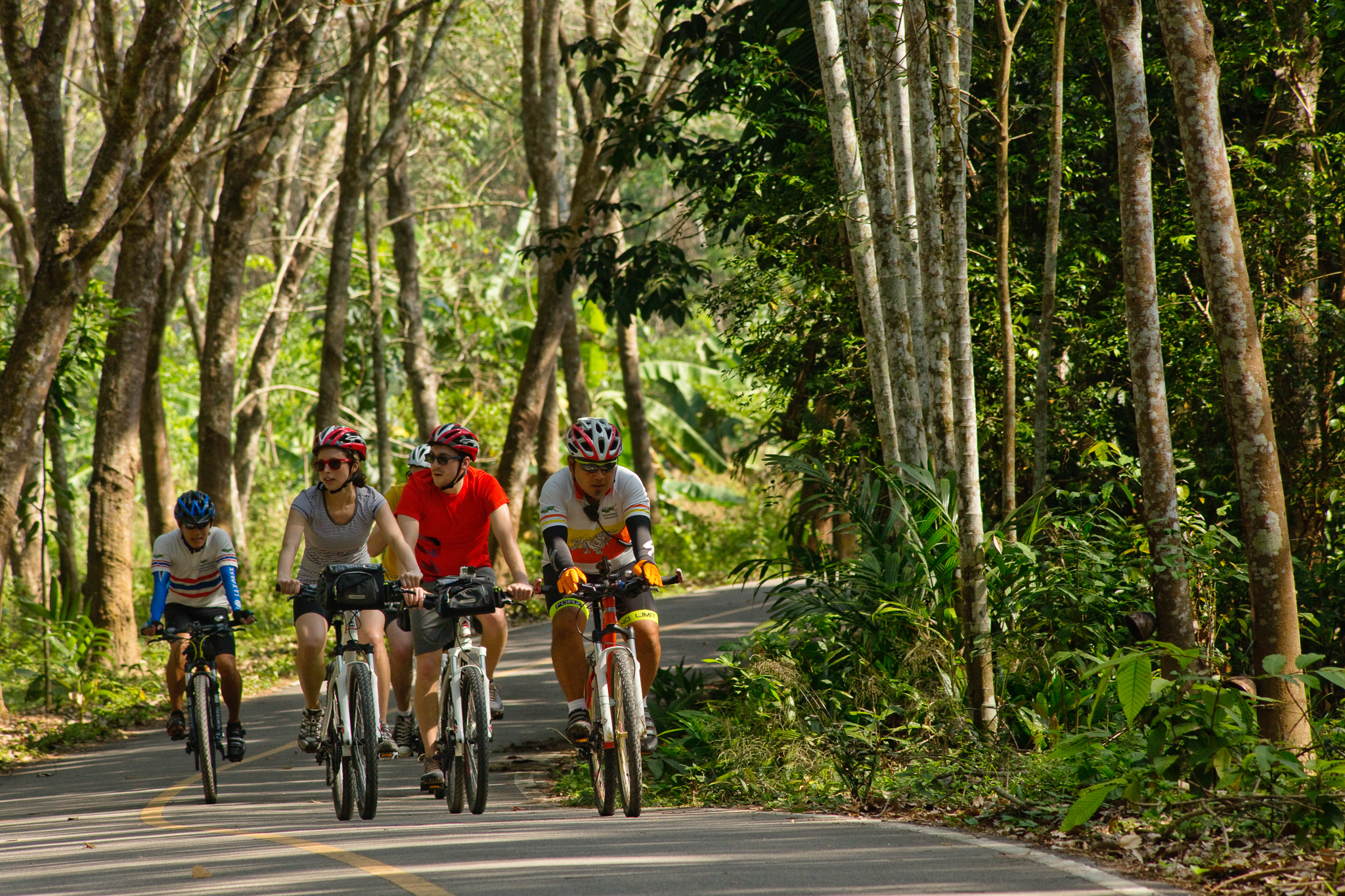 Five cyclists riding paved road through trees in Thailand