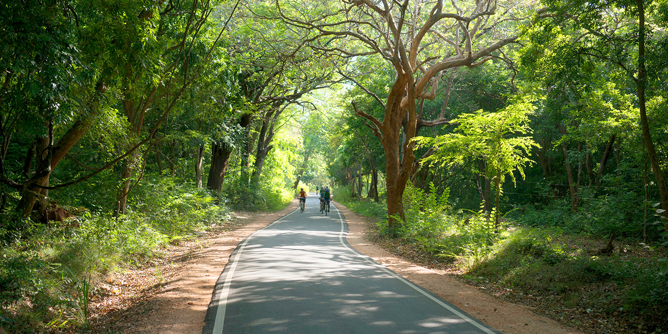 Sri Lanka Self-guided bike tour