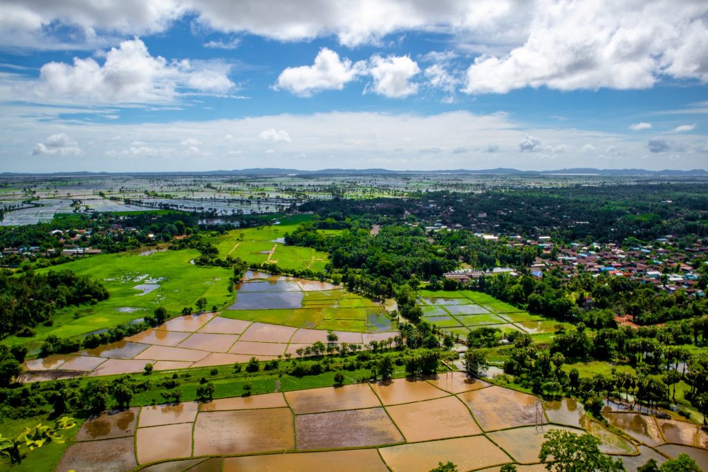 Mawlamyine rice paddies