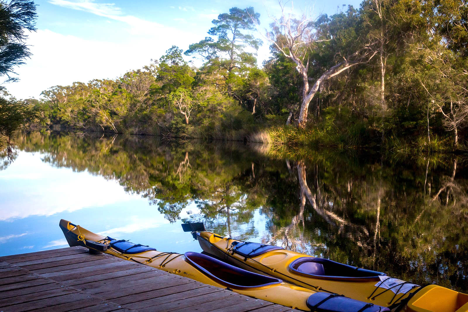 Kayaking on Noosa Everglades