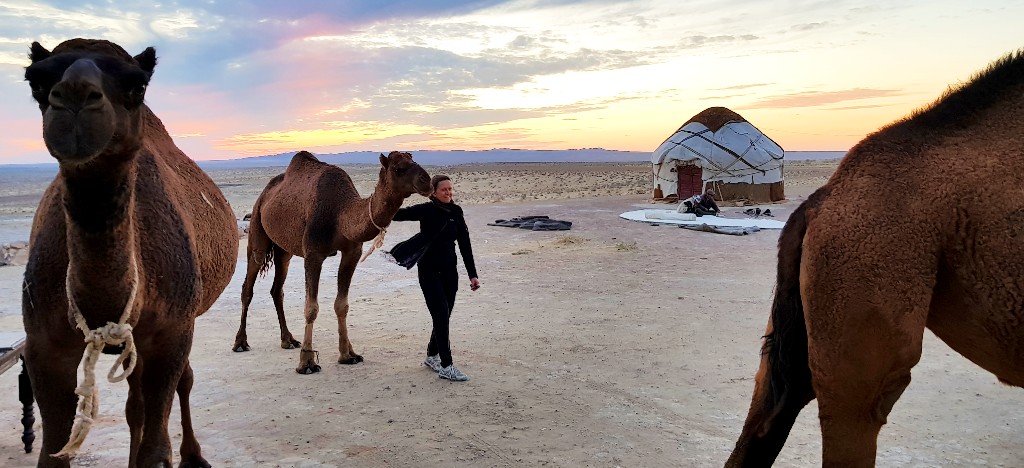 Camel and Yurt Camp Uzbekistan
