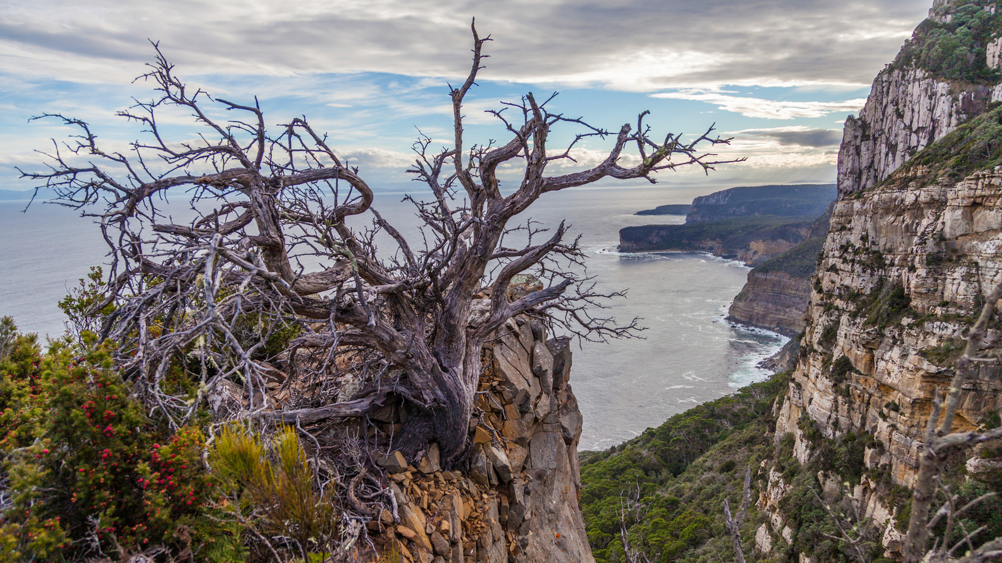 Cape Raoul Tasmania, picture courtesy of Tasmania Parks and Wildlife