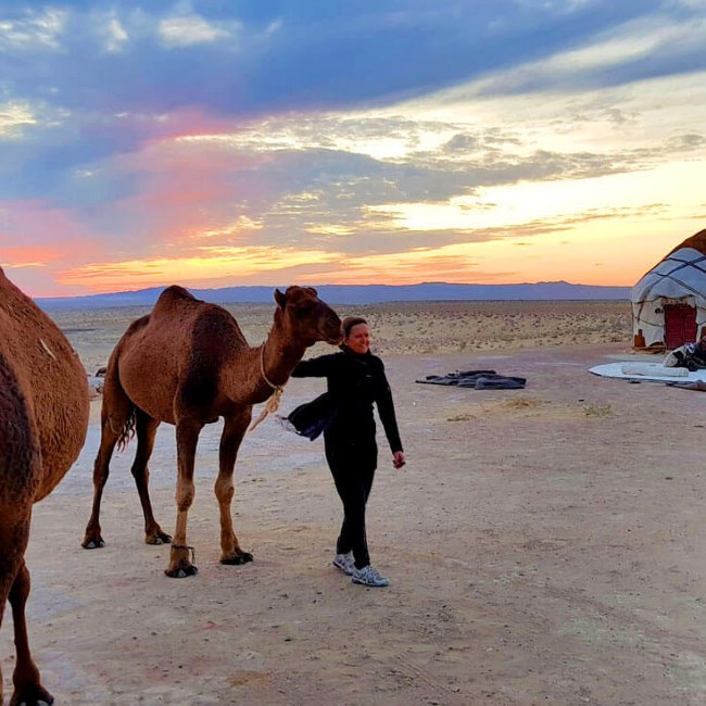 Traveler with camels at yurt camp in Uzbekistan