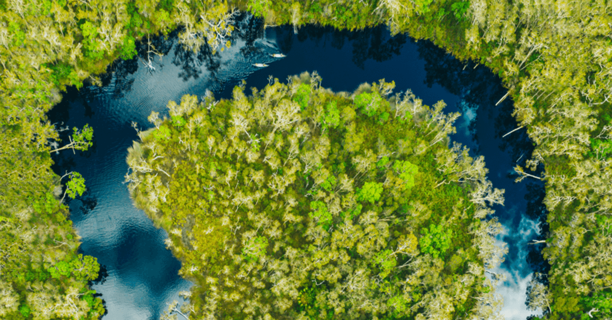 Aerial view kayaking Noosa Everglades