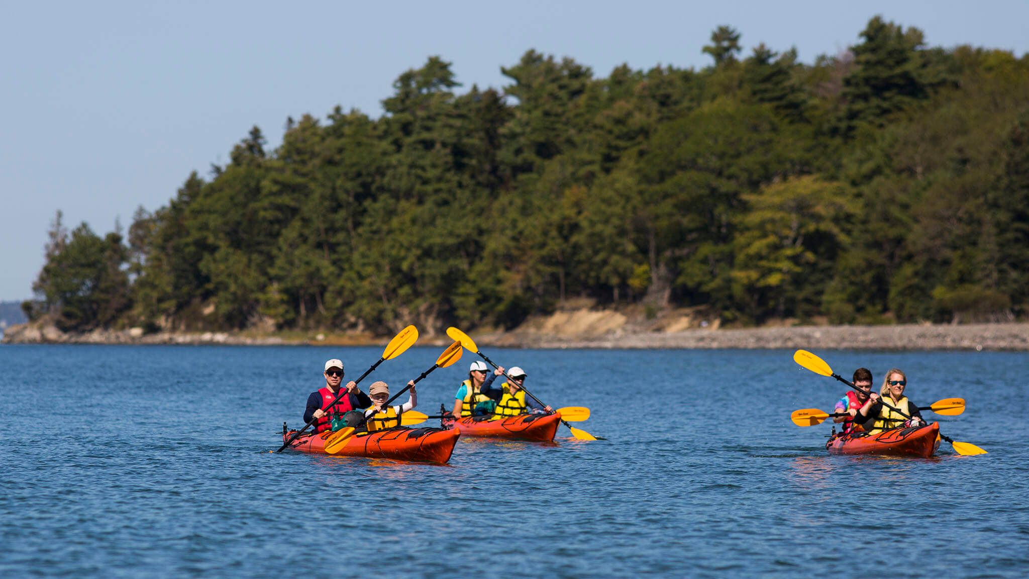 Sea Kayaking Maine