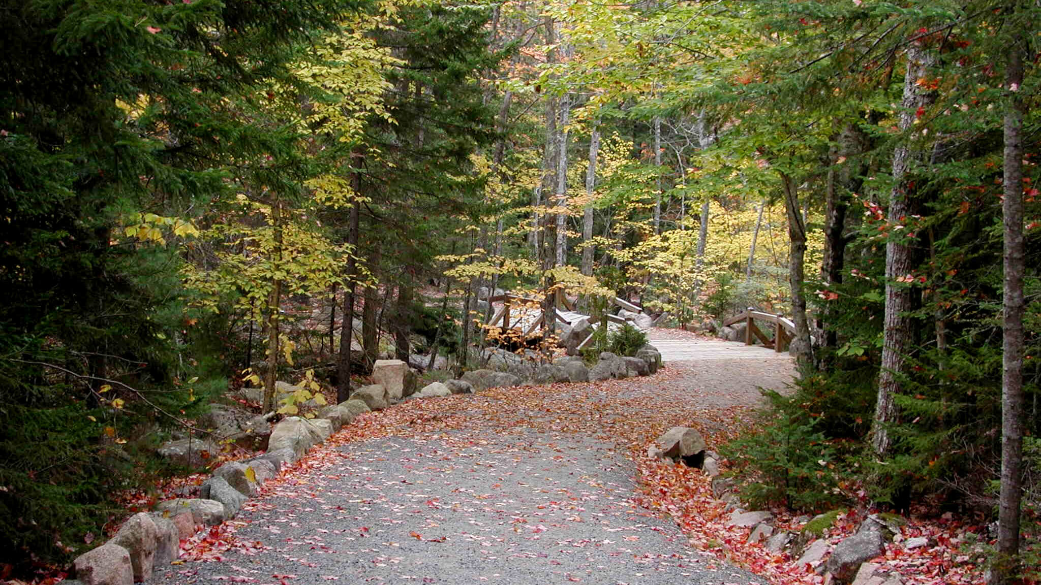 Autumn on Acadia National Park's bike trail