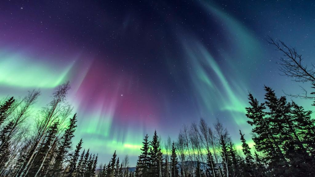 Northern lights Alaska (thumb)