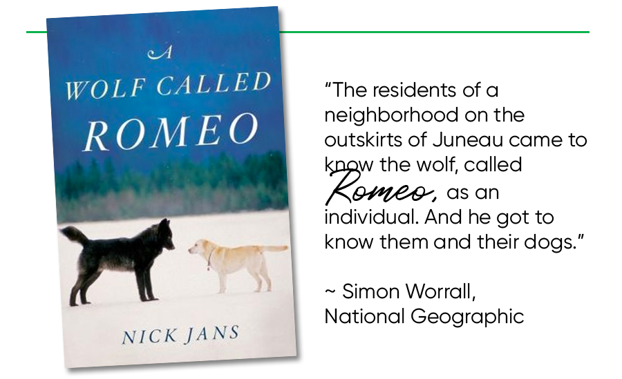 A Wolf Called Romeo book