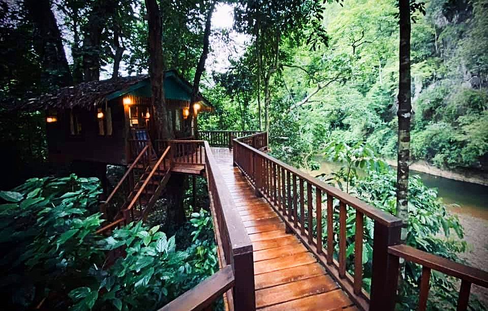 Our Jungle House Lodging Thailand