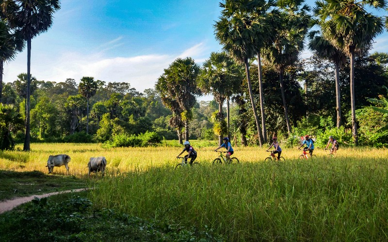 Cycle touring group in Cambodia