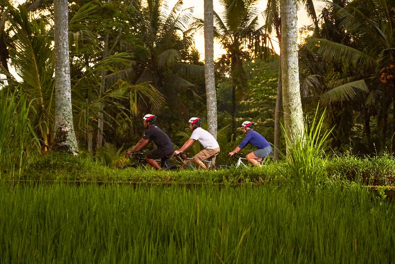 Cycling by palm trees in Bali (web)